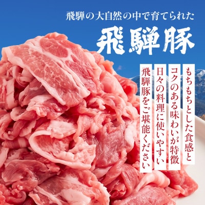 飛騨豚 こま切れ 切り落とし 2kg 小分け 500g×4パック  国産 豚肉 CY052