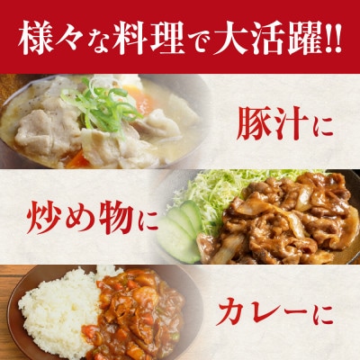 飛騨豚 こま切れ 切り落とし 2kg 小分け 500g×4パック  国産 豚肉 CY052