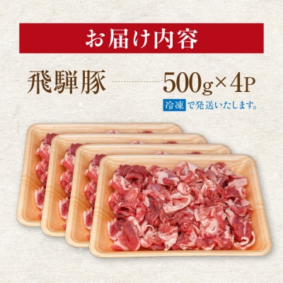 飛騨豚 こま切れ 切り落とし 2kg 小分け 500g×4パック  国産 豚肉 CY052