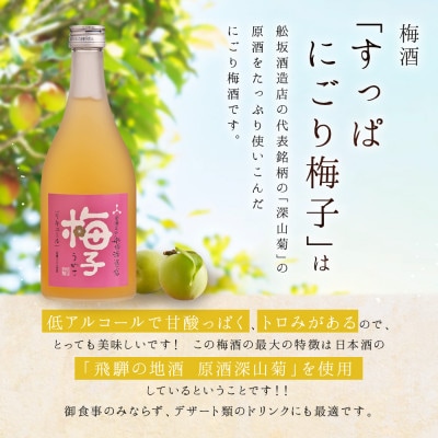 飛騨の地酒で造ったにごり梅酒「すっぱにごり梅子」と山ぶどう酒「ぶど次郎」 FB005