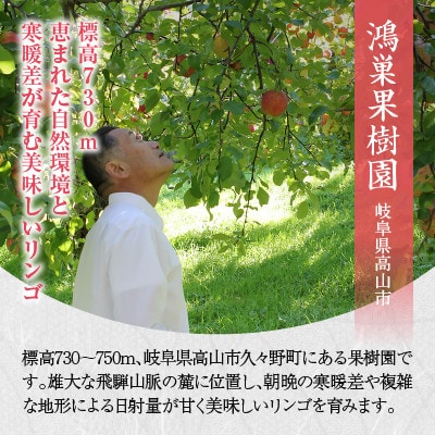 鴻巣果樹園 樹成り完熟 飛騨すりおろし林檎ジュース 2本セット a619