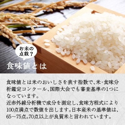 契約農家直送 飛騨高山産 こしひかり プレミアム 5kg b670