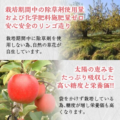 飛騨高山産 樹成り完熟 飛騨すりおろし林檎ジュース 180ml×20本セット TR3357