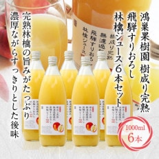 飛騨高山産　樹成り完熟 飛騨すりおろし林檎ジュース 6本セット TR3359