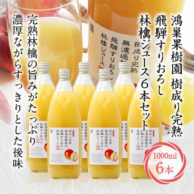 飛騨高山産　樹成り完熟 飛騨すりおろし林檎ジュース 6本セット TR3359