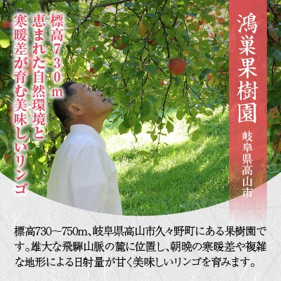 飛騨高山産　樹成り完熟 飛騨すりおろし林檎ジュース 6本セット TR3359