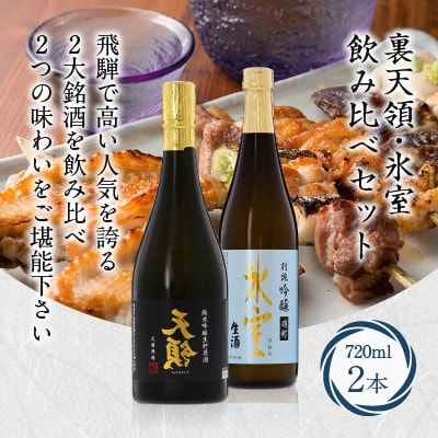 飛騨高山銘酒　裏天領 氷室 飲み比べセット TR3369