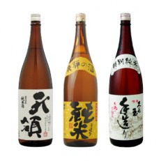 飛騨の地酒　純米晩酌酒3本セット TR3378