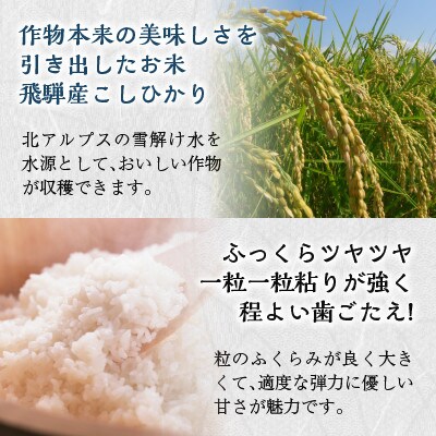 2024年2月発送開始『定期便』契約農家直送 飛騨高山産 こしひかり 10kg 全3回