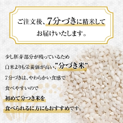飛騨高山産コシヒカリ・令和6年・白米・5kg『飛騨う米』米コン3年連続特別優秀賞受賞　TR3199