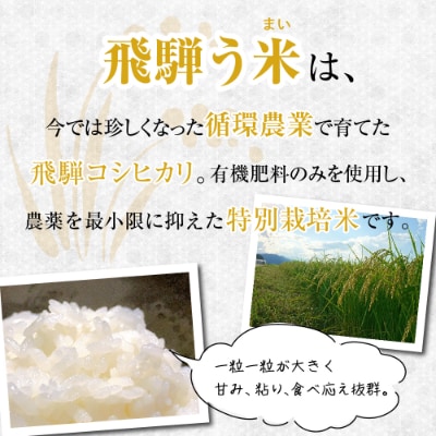 飛騨高山コシヒカリ 令和3年 白米 10kg 飛騨う米 米コン3年連続特別優秀賞受賞 Tr30 お礼品詳細 ふるさと納税なら さとふる