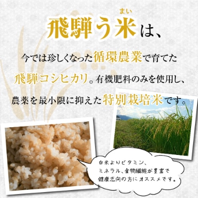 飛騨高山産コシヒカリ・令和6年・玄米・10kg『飛騨う米』米コン3年連続特別優秀賞　TR3202