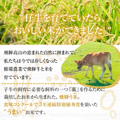 飛騨高山産コシヒカリ・令和6年・玄米・10kg『飛騨う米』米コン3年連続特別優秀賞　TR3202