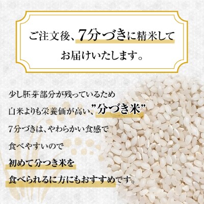 【厳選米】飛騨高山産コシヒカリ・7分精米・5kg『飛騨う米・頂』連続特別優秀賞 TR3348