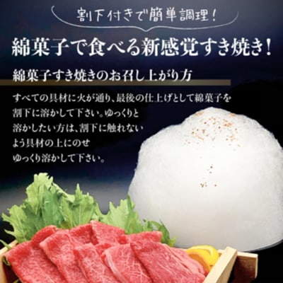 飛騨牛A5ランク 綿菓子すき焼き赤身.霜降り食べ比べセット400g (化粧箱入り)TR3279
