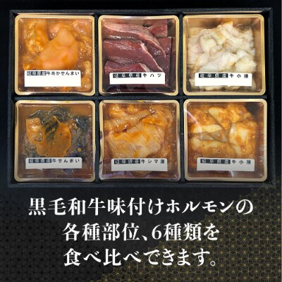 岐阜県産和牛ホルモン食べ比べセット600g　FH011