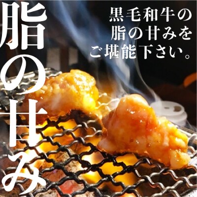岐阜県産和牛ホルモン食べ比べセット600g　FH011