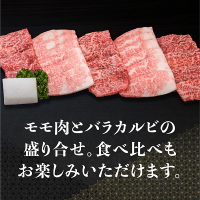 A-5等級飛騨牛焼肉400g(もも、バラ)　FH012