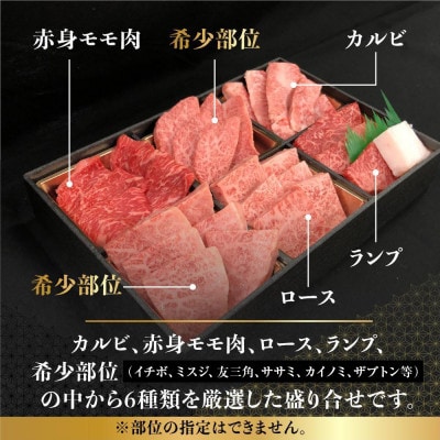 飛騨牛6種食べ比べセット FH017VP