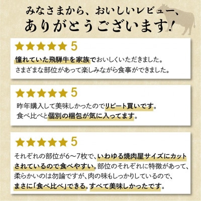 飛騨牛6種食べ比べセット FH017VP