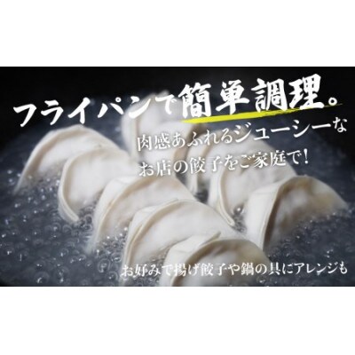 飛騨高山餃子100個入(生冷凍)簡易包装　TR3493