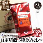 イーグルコーヒーおススメセット100g×5種【豆】自家焙煎コーヒー 飛騨高山 コーヒー豆TR3181