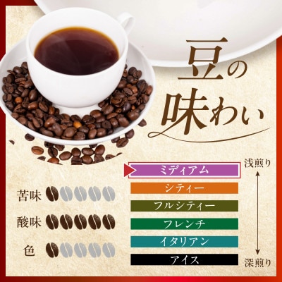 自家焙煎コーヒードリップバッグ(マイルドタイプ)「高山朝1ブレンド」5個入り GT018