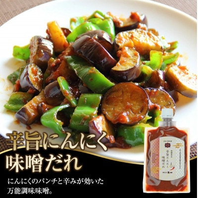 辛旨にんにく味噌だれ3個とこく旨鶏やさい鍋みそ3個 セット AV023