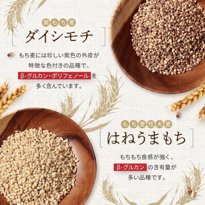 飛騨高山で有機栽培した「もち麦」 2種 食べ比べ 1kg(各500g×1袋) JC017