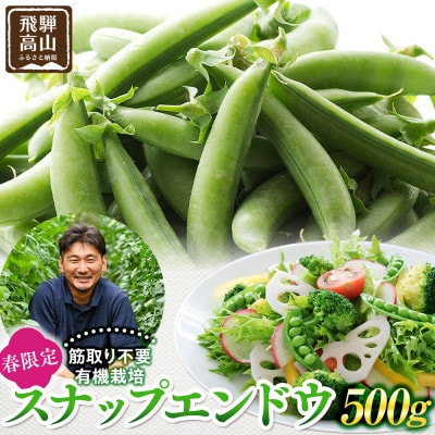 飛騨高山産 筋取り不要の有機栽培スナップエンドウ　500g JC018