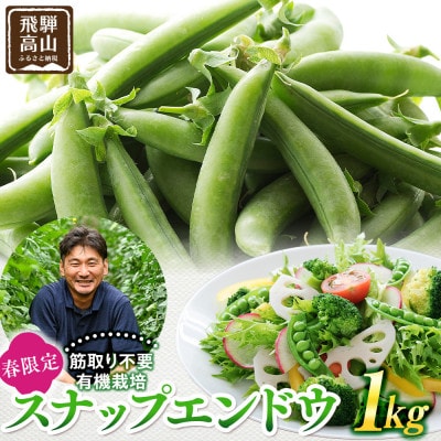 飛騨高山産 筋取り不要の有機栽培スナップエンドウ　1kg JC019