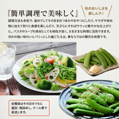 飛騨高山産 筋取り不要の有機栽培スナップエンドウ　1kg JC019