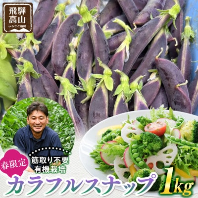 春の食卓を彩る 飛騨高山産 有機栽培カラフルスナップ　1kg　(2種セット) JC020