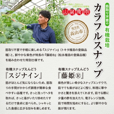 春の食卓を彩る 飛騨高山産 有機栽培カラフルスナップ　1kg　(2種セット) JC020