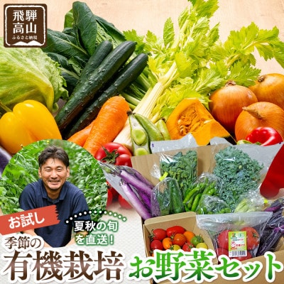 飛騨高山産 季節の有機栽培お野菜セット(お試し)4～6品 JC021