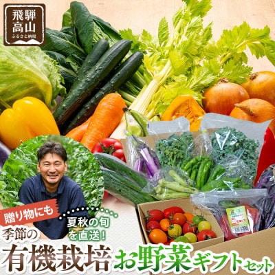 贈り物にも!夏秋の旬を詰めた飛騨高山の有機栽培お野菜ギフト　JC023
