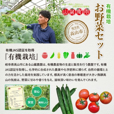 贈り物にも!夏秋の旬を詰めた飛騨高山の有機栽培お野菜ギフト　JC023