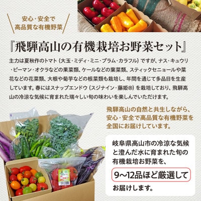 贈り物にも!夏秋の旬を詰めた飛騨高山の有機栽培お野菜ギフト　JC023