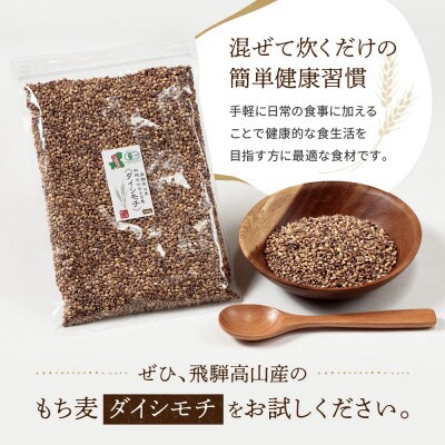 【毎月定期便】飛騨高山で有機栽培した「紫もち麦」ダイシモチ 1kg(500g×2袋)JC106全6回