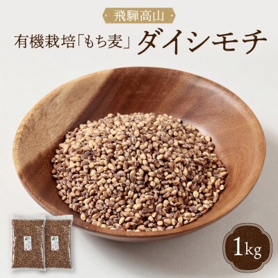 【毎月定期便】飛騨高山で有機栽培した「紫もち麦」ダイシモチ1kg(500g×2袋)JC107全12回
