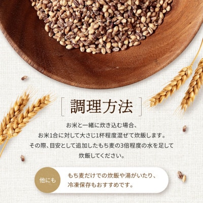 【毎月定期便】飛騨高山で有機栽培した「紫もち麦」ダイシモチ 1kg(500g×2袋)JC105全3回