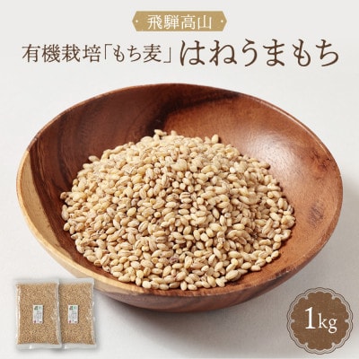 【毎月定期便】飛騨高山で有機栽培した「もち麦」はねうまもち 1kg(500g×2袋)JC108全3回