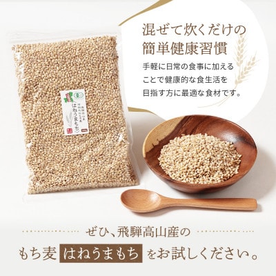 【毎月定期便】飛騨高山で有機栽培した「もち麦」はねうまもち 1kg(500g×2袋)JC108全3回