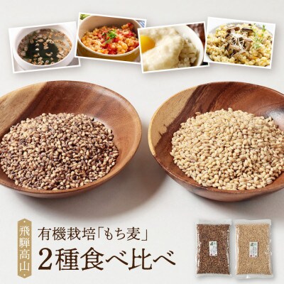 【毎月定期便】飛騨高山で有機栽培したもち麦2種 食べ比べ 1kg(各500g×1袋)JC111全3回