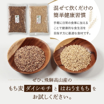 【毎月定期便】飛騨高山で有機栽培したもち麦2種食べ比べ 1kg(各500g×1袋)JC113全12回