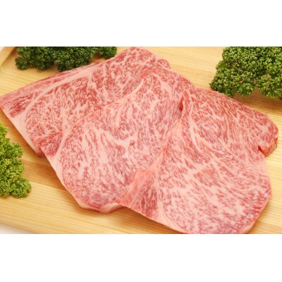 飛騨牛サーロインステーキ用 200g×3枚 TR4211