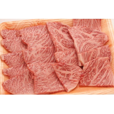 飛騨牛ロース、もも肉(イチボ)焼肉用　600g×2パック　TR4221