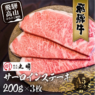 飛騨牛　5等級　サーロインステーキ　200g×3枚   TR3737