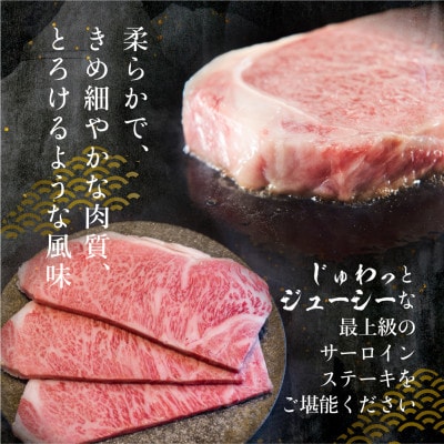 飛騨牛　5等級　サーロインステーキ　200g×3枚   TR3737