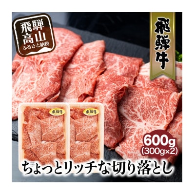 飛騨牛<すきやき・しゃぶしゃぶ用> みすじ・ウデの切り落とし 300g×2パックセット　TR3448